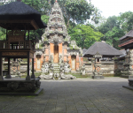 tempel apenbos